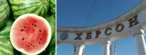 Херсонські кавуни