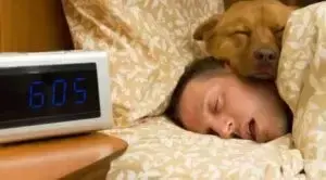 Міцний сон
