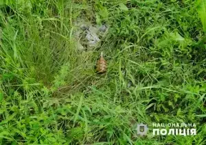 Вилучена граната