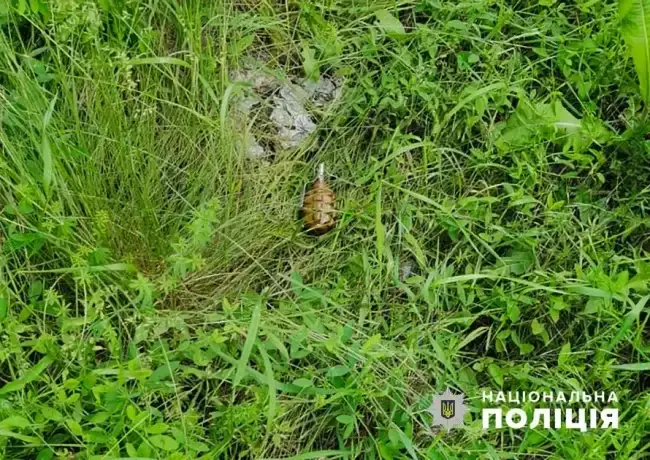 Вилучена граната
