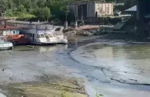Річка в «Дубовій гаю» висохла після підриву Каховської ГЕС