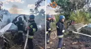 Фото: ДСНС Запорізької області