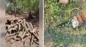 Фото: Державна екоінспекція Запорізької області