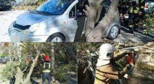 Фото: ДСНС Запорізької області