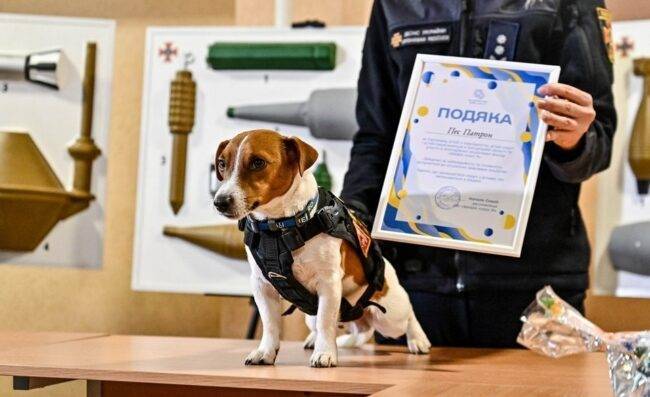 Пес Патрон на зустрічі з дітьми / Фото: Укрінформ