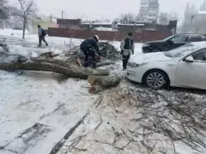 Фото: Запорізька міська рада