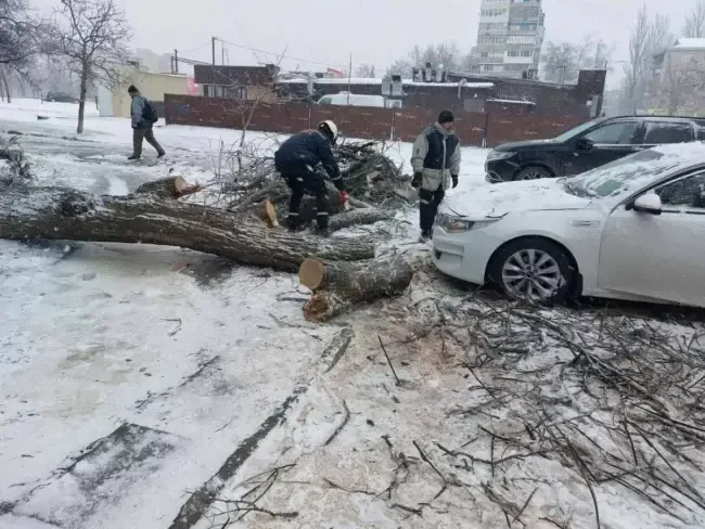 Фото: Запорізька міська рада