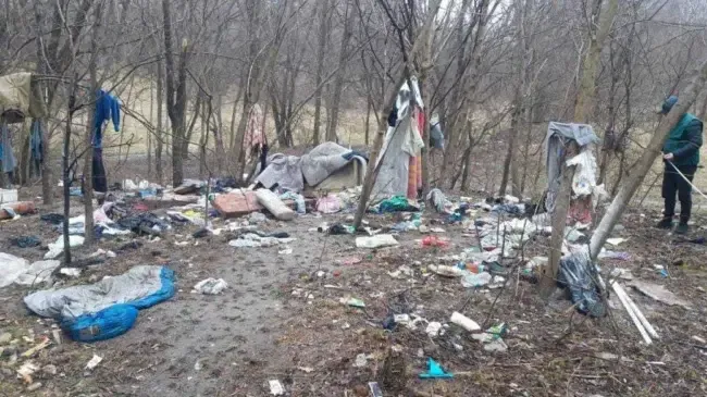 Виявлене сміттєзвалище