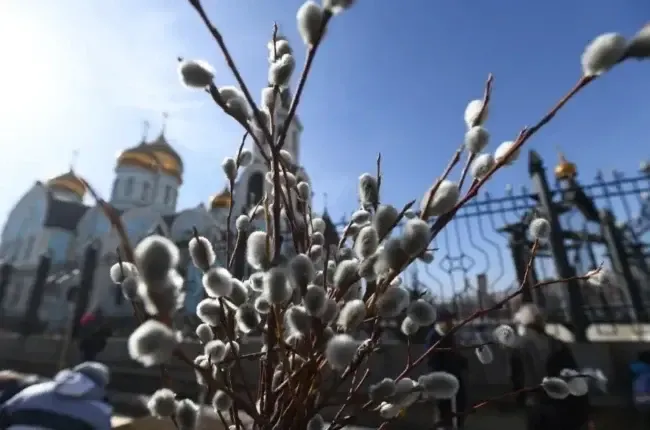 Вербна неділя - 2024