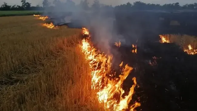 Пожежна небезпека