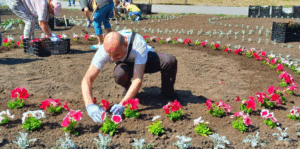 Висадка квітів у міському парку Запоріжжя