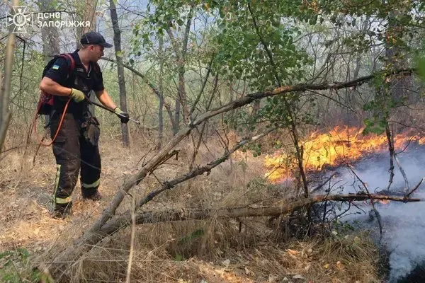 Ліквідація пожежі у Запорізькій області