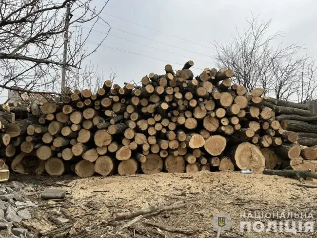Вилучена деревина