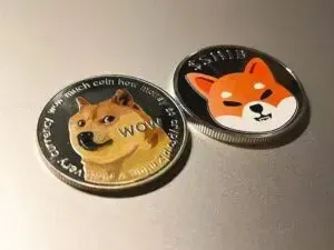 Что такое Dogecoin и как криптовалюта зарекомендовала себя в общественных делах?
