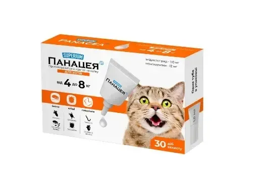 Как защитить своего кота от блох