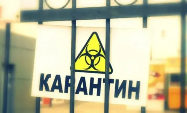 Карантин
