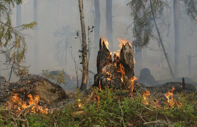 Пожежна небезпека