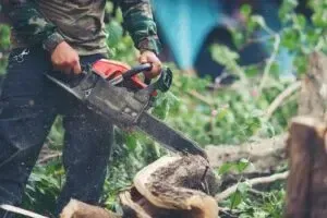 Як обрати та купити пилку електричну і секатор