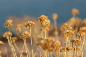 Прогноз погоди в Запоріжжі та області на 11 - 12 листопада