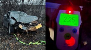 У Запоріжжі водій влетів у дерево