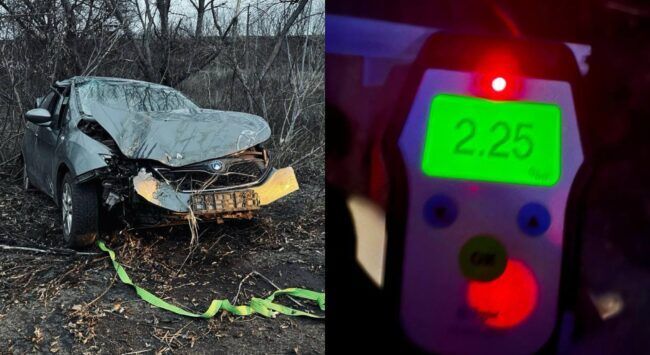 У Запоріжжі водій влетів у дерево