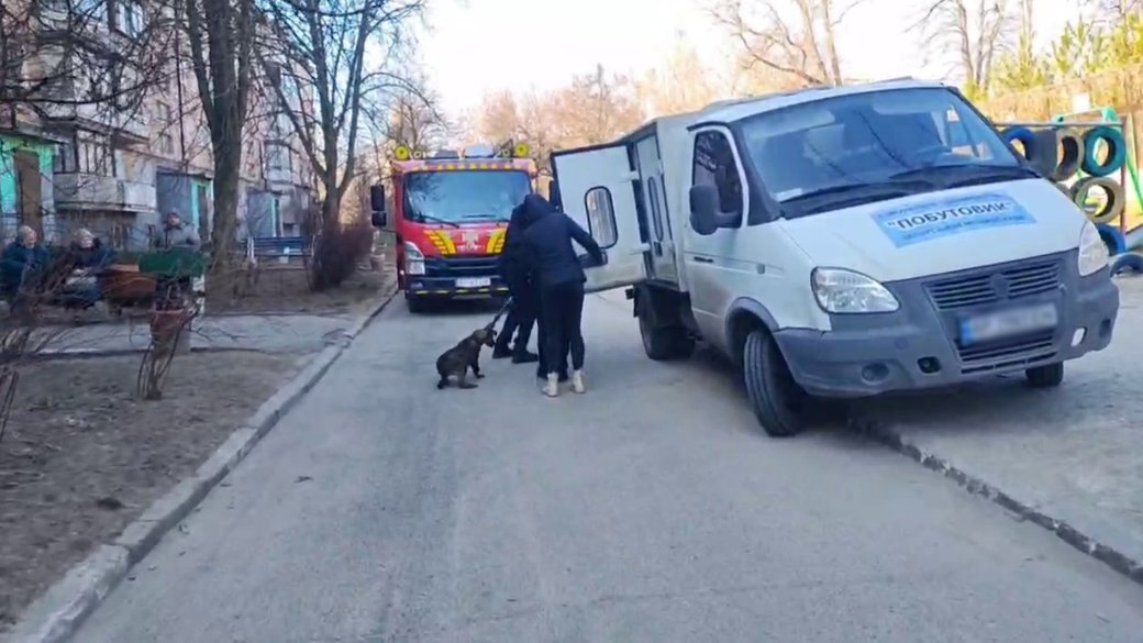 У Запоріжжі чоловік влаштував жахливий притулок