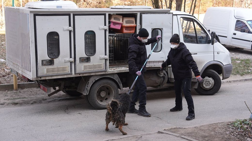 У Запоріжжі чоловік влаштував жахливий притулок