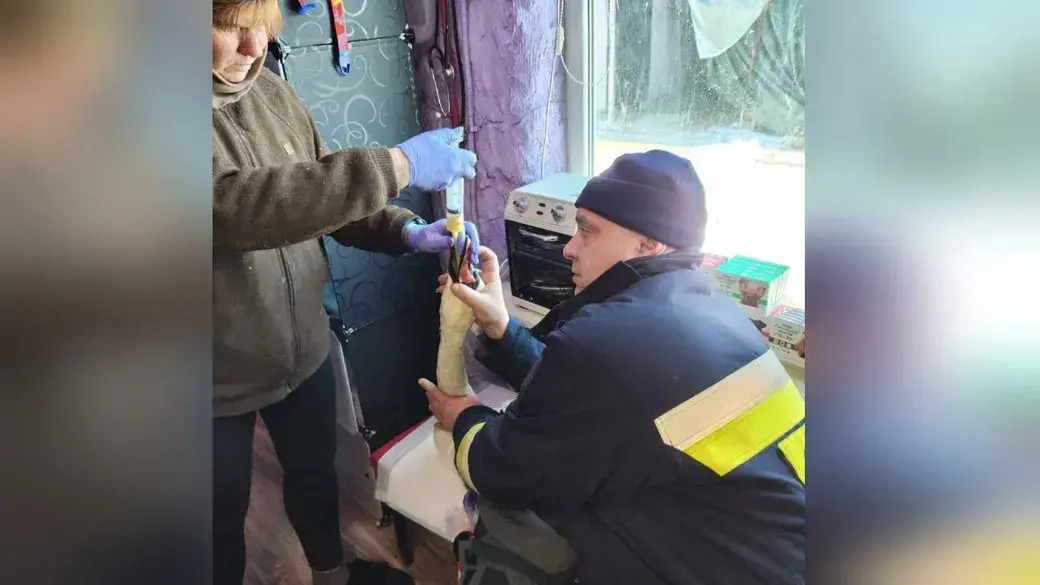 На Запоріжжі врятували лебедя