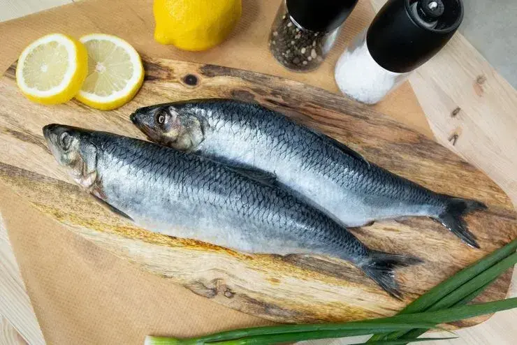 Яка риба більш корисна — річкова чи морська