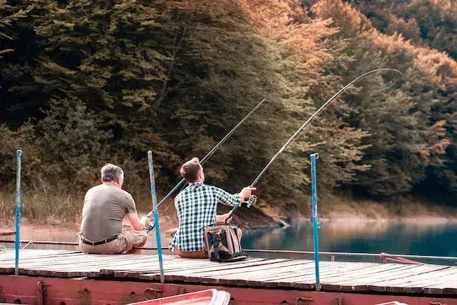 Карповые удилища от FishingROI.ua