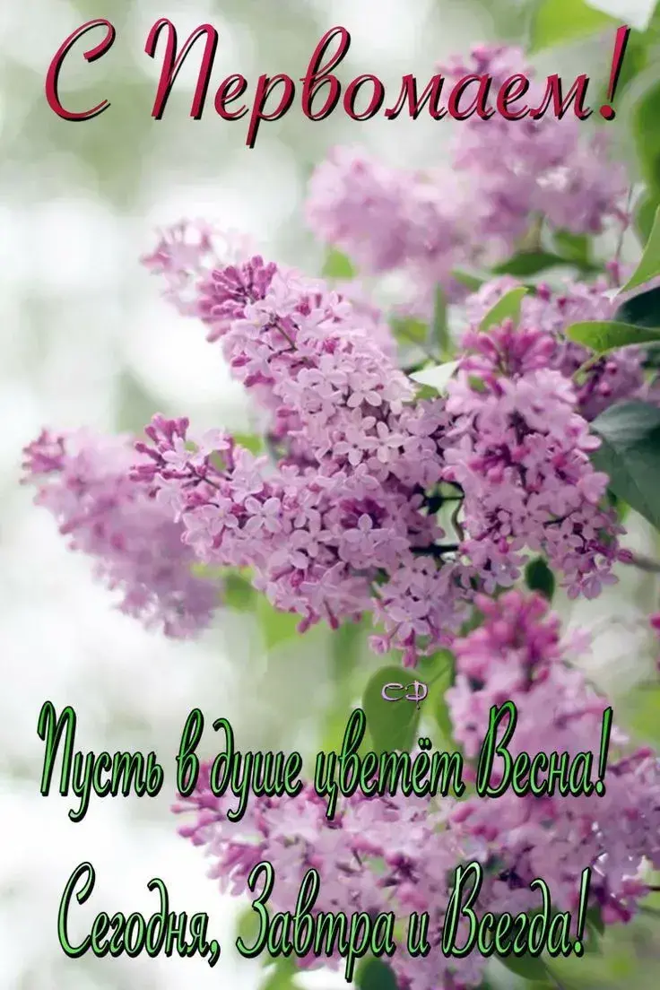 Поздравления с 1 мая