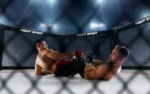 MMA по-украински