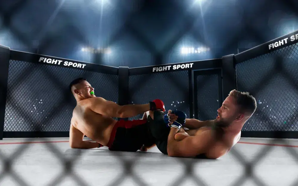 MMA по-украински