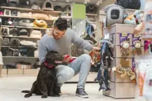 Про магазин PetMarket.ua: все для ваших улюбленців