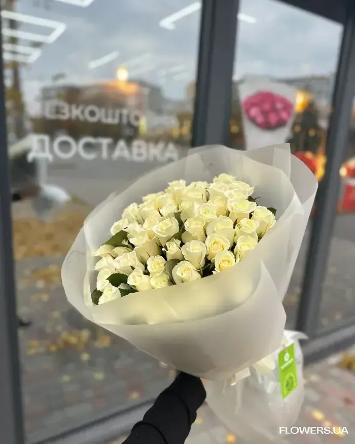 Білі й червоні троянди