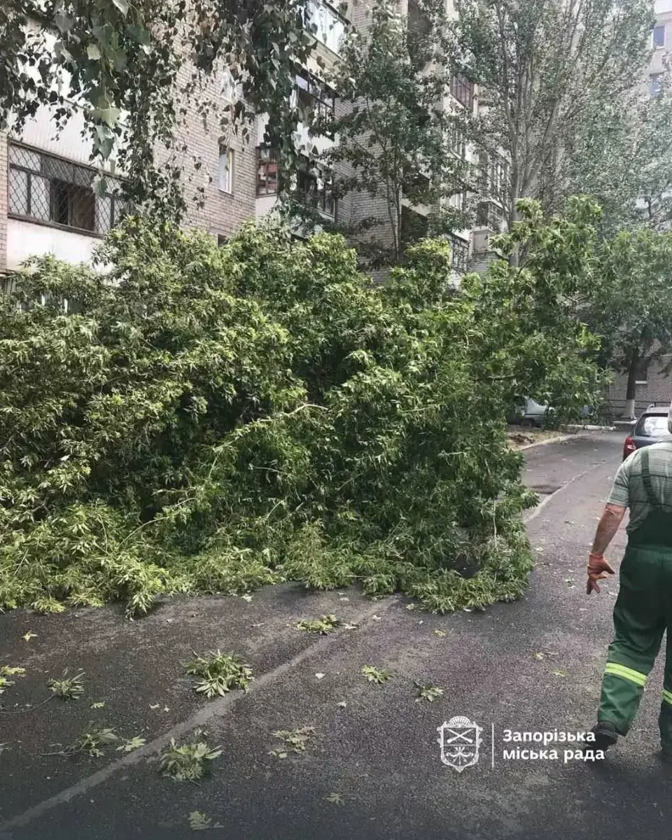 Шквальний вітер у Запоріжжі 