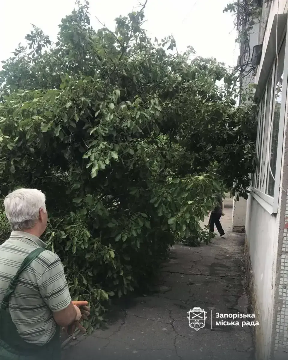 Шквальний вітер у Запоріжжі 