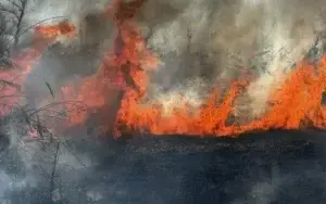 Масштабна пожежа у Запоріжжі