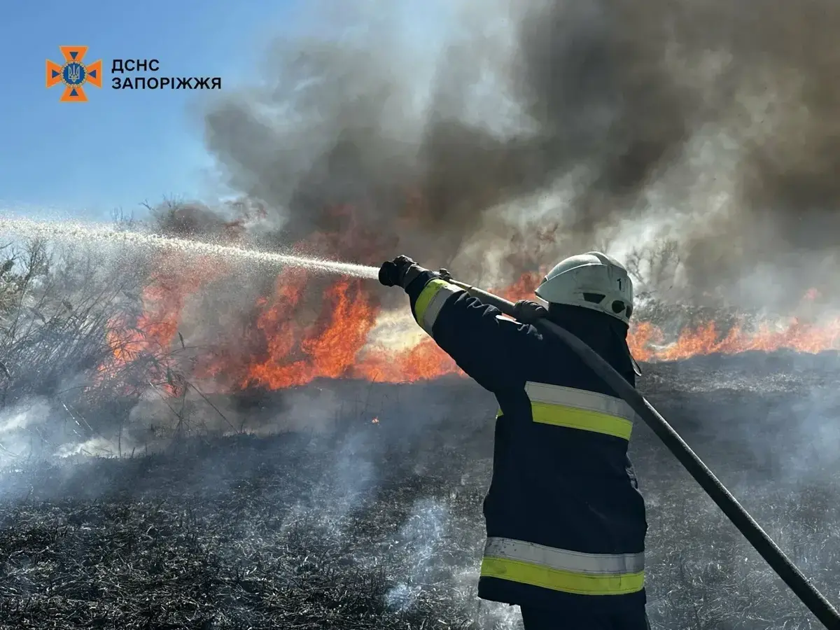 У Запоріжжі посеред дня спалахнула масштабна пожежа (фото)