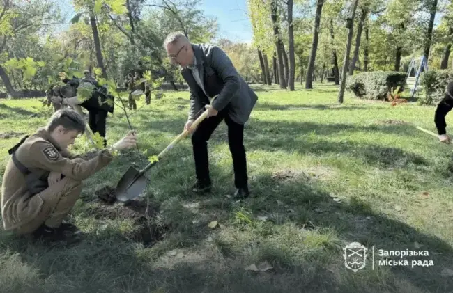 В Запоріжжі раптово вирішили оновити «Дубовий гай»