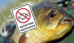 Штраф до 680 грн або в'язниця: на Запоріжжі стартувала заборона на вилов риби