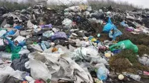 Сміттєвий колапс на Запоріжжі: у Космічному районі виявили звалища біля житлових будинків