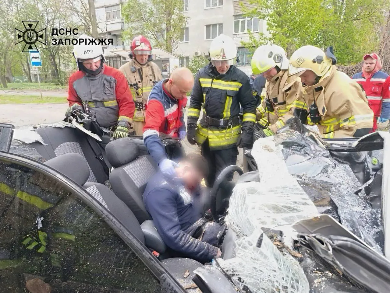 Дерево розчавило автомобіль в Запоріжжі: водій загинув Дерево розчавило автомобіль в Запоріжжі: водій загинув
