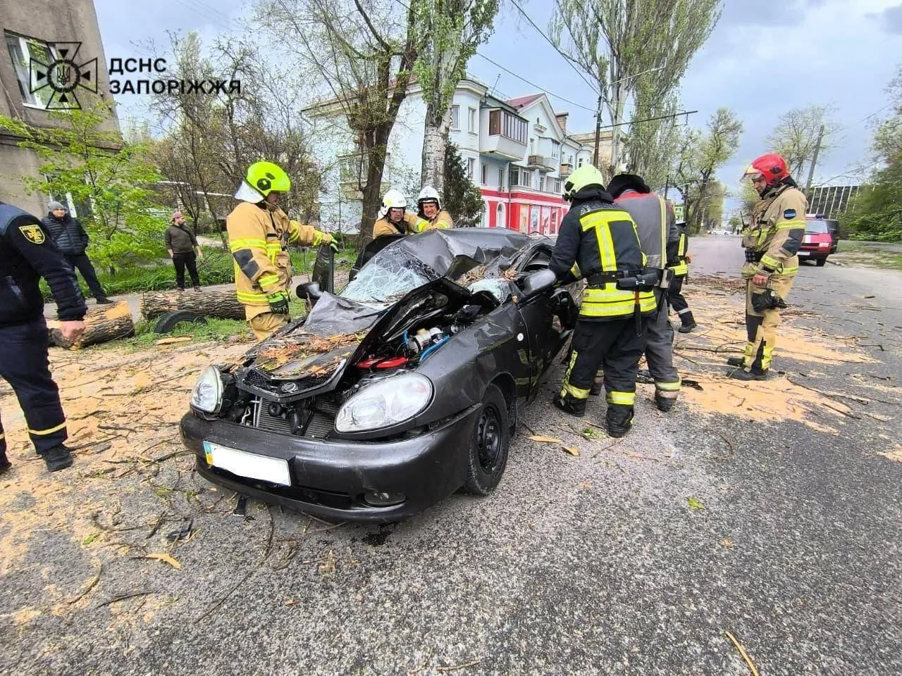 Дерево розчавило автомобіль в Запоріжжі: водій загинув