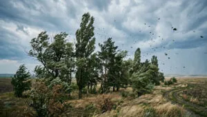 Шквальний вітер накриє населені пункти у Запорізькій області