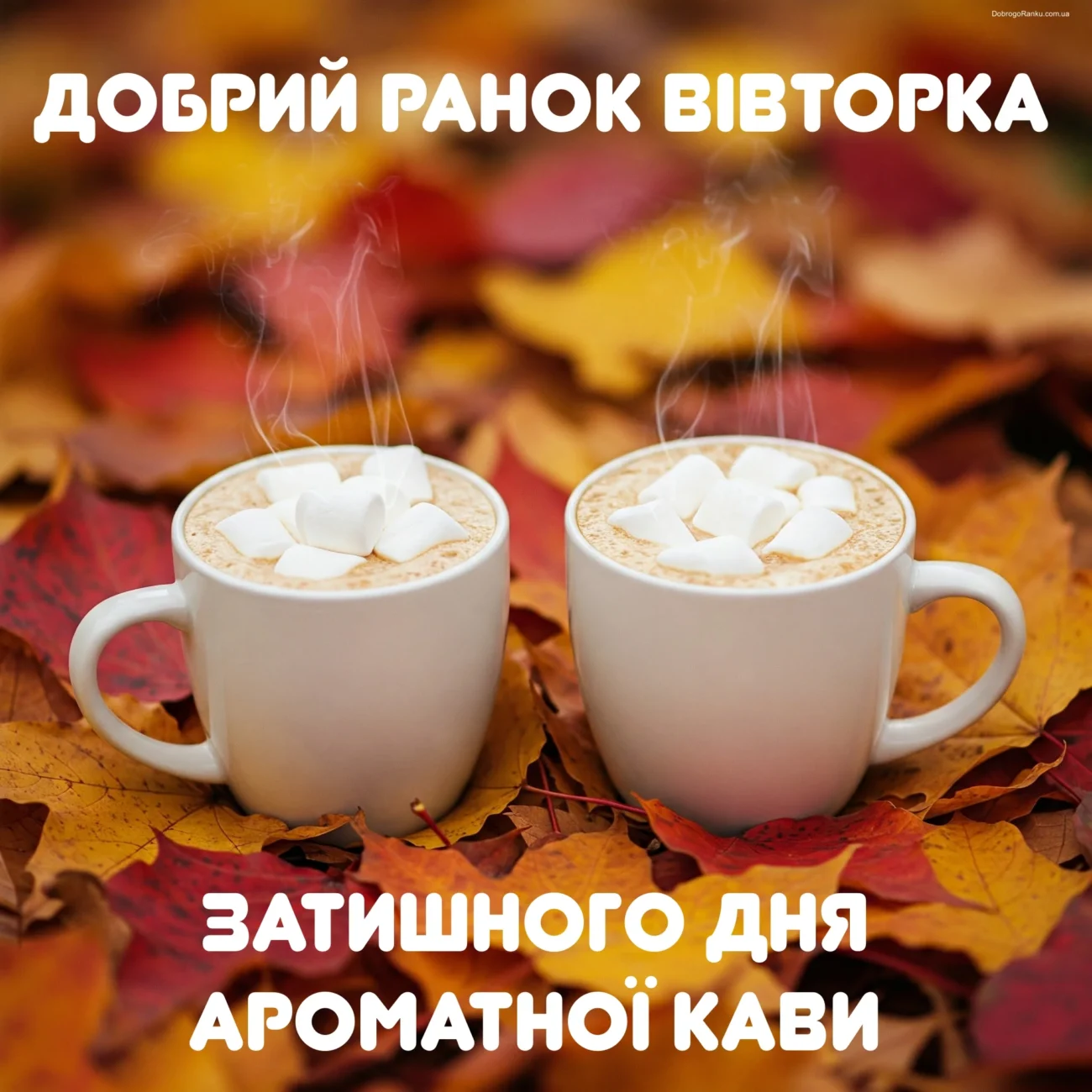 Гарного вівторка: красиві картинки та побажання мирного дня
