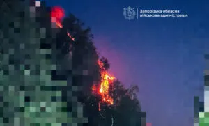 Масована атака по Запоріжжю: завдано понад 20 ударів