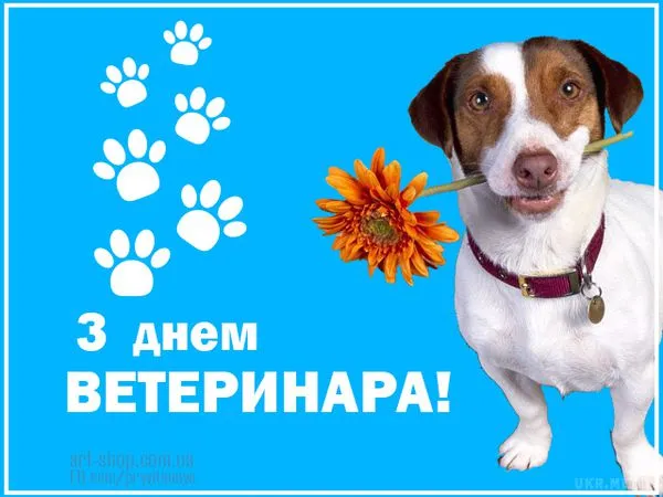 З Днем ветеринара 2026: красиві листівки та картинки українською, які можна скачати безкоштовно