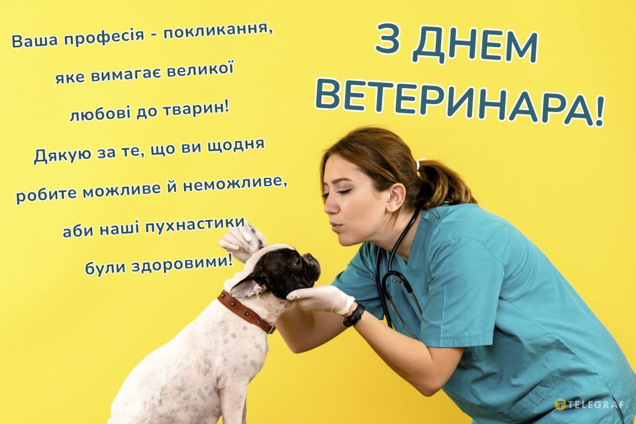З Днем ветеринара 2026: красиві листівки та картинки українською, які можна скачати безкоштовно