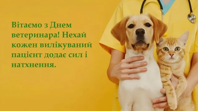 З Днем ветеринара 2026: красиві листівки та картинки українською, які можна скачати безкоштовно